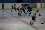 Photo hockey match Marseille - Mont-Blanc le 04/03/2017