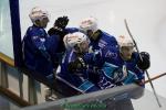 Photo hockey match Marseille - Mont-Blanc le 04/03/2017
