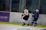 Photo hockey match Marseille - Mont-Blanc le 04/03/2017