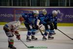 Photo hockey match Marseille - Mont-Blanc le 04/03/2017