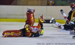 Photo hockey match Meudon - La Roche-sur-Yon le 06/02/2010