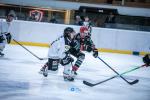 Photo hockey match Mont-Blanc - Brest  le 03/02/2024