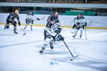 Photo hockey match Mont-Blanc - Brest  le 03/02/2024
