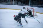 Photo hockey match Mont-Blanc - Brest  le 03/02/2024