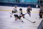 Photo hockey match Mont-Blanc - Chambry le 09/12/2023