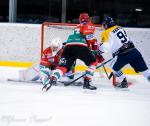 Photo hockey match Mont-Blanc - Dunkerque le 25/11/2017
