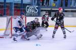 Photo hockey match Mont-Blanc - Dunkerque le 18/02/2024