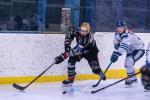 Photo hockey match Mont-Blanc - Dunkerque le 18/02/2024