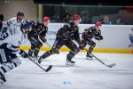 Photo hockey match Mont-Blanc - Dunkerque le 17/01/2026