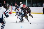 Photo hockey match Mont-Blanc - Dunkerque le 17/01/2026
