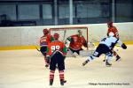Photo hockey match Mont-Blanc - Marseille le 07/01/2017