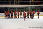 Photo hockey match Mont-Blanc - Marseille le 07/01/2017