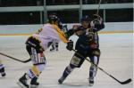 Photo hockey match Mont-Blanc - Rouen le 30/12/2008