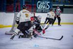 Photo hockey match Mont-Blanc - Strasbourg  le 22/11/2025