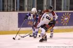 Photo hockey match Montpellier  - Bordeaux le 13/02/2010