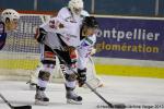 Photo hockey match Montpellier  - Bordeaux le 05/01/2013