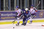 Photo hockey match Montpellier  - Brest  le 05/02/2011
