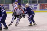 Photo hockey match Montpellier  - Brest  le 05/02/2011