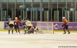 Photo hockey match Montpellier  - Chambry le 31/03/2018