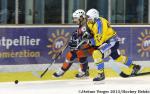 Photo hockey match Montpellier  - Dunkerque le 30/11/2013