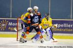 Photo hockey match Montpellier  - Dunkerque le 30/11/2013