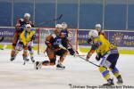Photo hockey match Montpellier  - Dunkerque le 30/11/2013