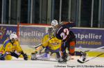 Photo hockey match Montpellier  - Dunkerque le 30/11/2013