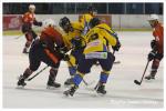 Photo hockey match Montpellier  - Limoges le 20/01/2018
