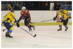 Photo hockey match Montpellier  - Limoges le 20/01/2018
