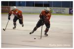 Photo hockey match Montpellier  - Limoges le 20/01/2018