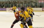 Photo hockey match Montpellier  - Limoges le 20/01/2018