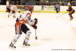 Photo hockey match Montpellier  - Lyon le 11/01/2014