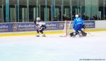 Photo hockey match Montpellier  - Marseille le 10/01/2015