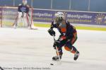 Photo hockey match Montpellier  - Mont-Blanc le 15/02/2014