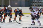 Photo hockey match Montpellier  - Mulhouse le 14/12/2013