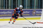 Photo hockey match Montpellier  - Mulhouse le 14/12/2013