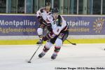 Photo hockey match Montpellier  - Mulhouse le 14/12/2013