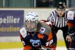 Photo hockey match Montpellier  - Mulhouse le 14/12/2013