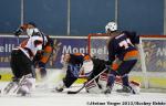 Photo hockey match Montpellier  - Mulhouse le 14/12/2013