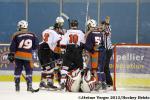 Photo hockey match Montpellier  - Mulhouse le 14/12/2013