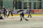 Photo hockey match Montpellier  - Reims le 07/04/2013