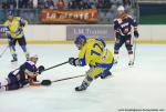 Photo hockey match Montpellier  - Toulon le 06/12/2014