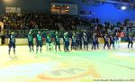 Photo hockey match Montpellier  - Toulouse-Blagnac le 19/01/2013