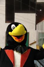 Photo hockey match Morzine-Avoriaz - Chamonix  le 29/12/2009