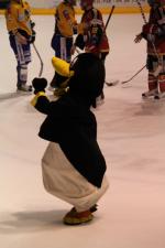 Photo hockey match Morzine-Avoriaz - Dijon  le 26/12/2009