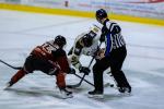 Photo hockey match Morzine-Avoriaz - Strasbourg  le 17/01/2026
