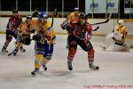 Photo hockey match Mulhouse - Dijon  le 22/11/2011