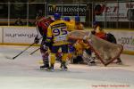 Photo hockey match Mulhouse - Dijon  le 03/11/2012