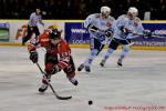 Photo hockey match Mulhouse - Montpellier  le 05/11/2011