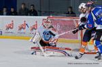 Photo hockey match Nantes  - Montpellier  le 07/12/2013